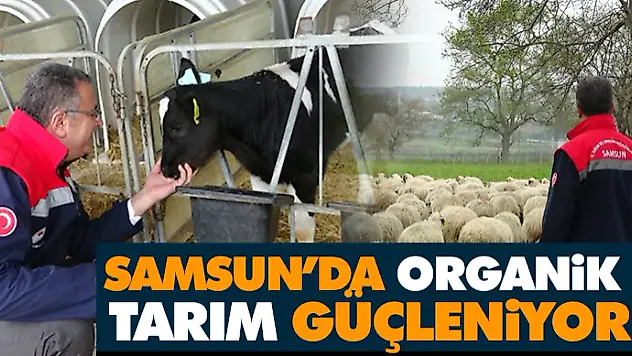 Samsun'da Organik Tarım Güçleniyor