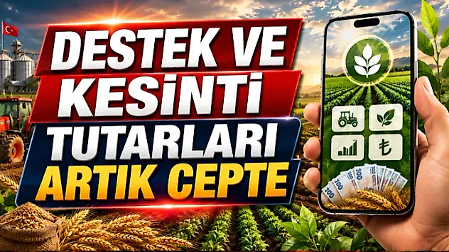 Destek ve Kesinti Tutarları Artık Cepte