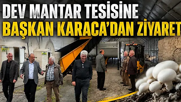 Dev Mantar Tesisine Başkan Karaca'dan Ziyaret