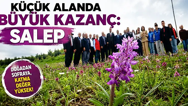 Küçük Alanda Büyük Kazanç: Salep