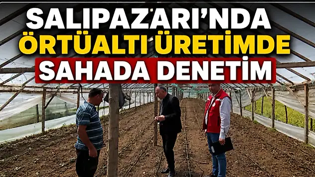 Salıpazarı'nda Örtüaltı Üretimde Sahada Denetim