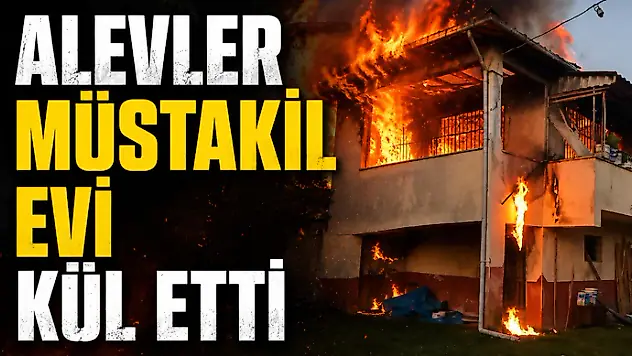Alevler Müstakil Evi Kül Etti