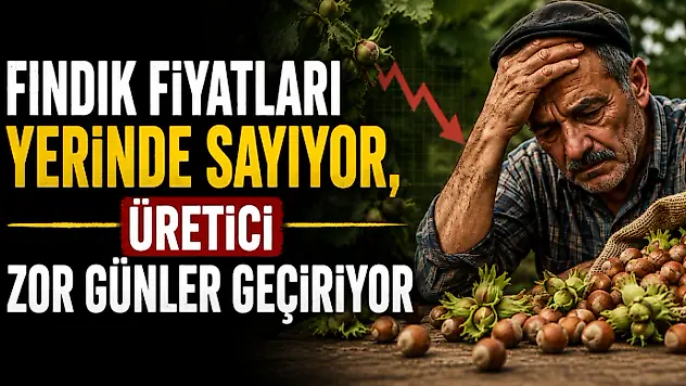 Fındık Fiyatları Yerinde Sayıyor, Üretici Zor Günler Geçiriyor