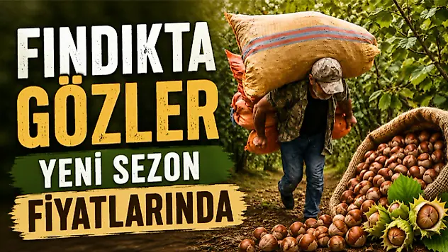 Fındıkta Gözler Yeni Sezon Fiyatlarında