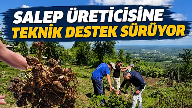 Salep Üreticisine Teknik Destek Sürüyor