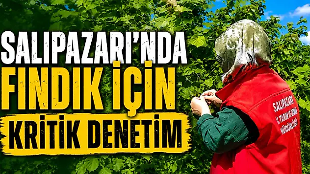 Salıpazarı'nda Fındık İçin Kritik Denetim