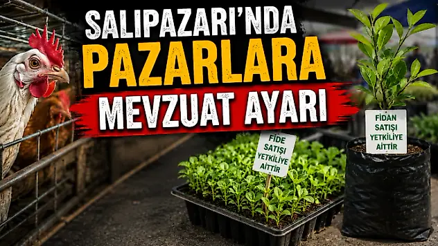 Salıpazarı'nda Pazarlara Mevzuat Ayarı