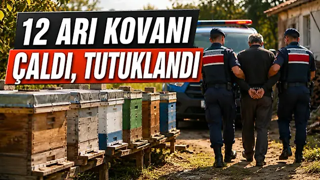 Çarşamba'da 12 Arı Kovanı Çalan Şüpheli Tutuklandı