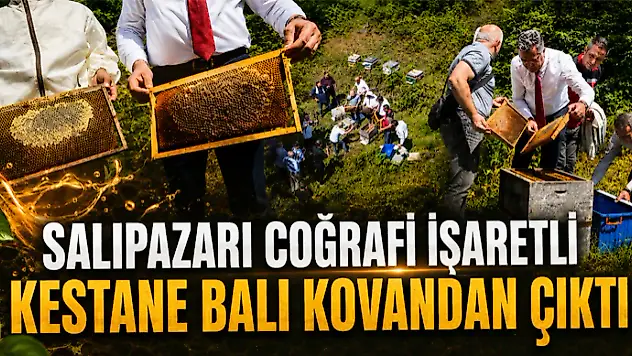 Coğrafi İşaretli Kestane Balı Kovandan Çıktı