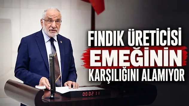 'Fındık Üreticisi Emeğinin Karşılığını Alamıyor'