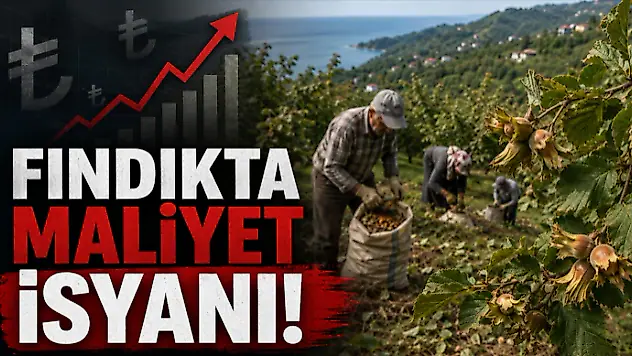 Fındıkta Maliyet İsyanı