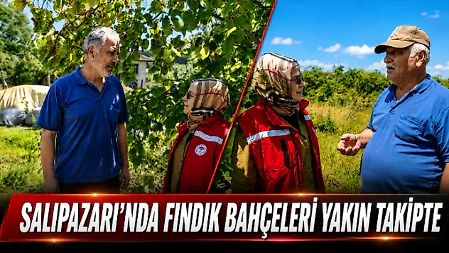 Salıpazarı'nda Fındık Bahçeleri Yakın Takipte