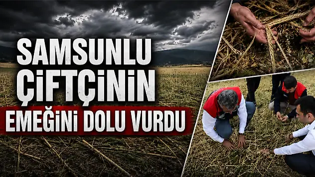 Samsunlu Çiftçinin Emeğini Dolu Vurdu