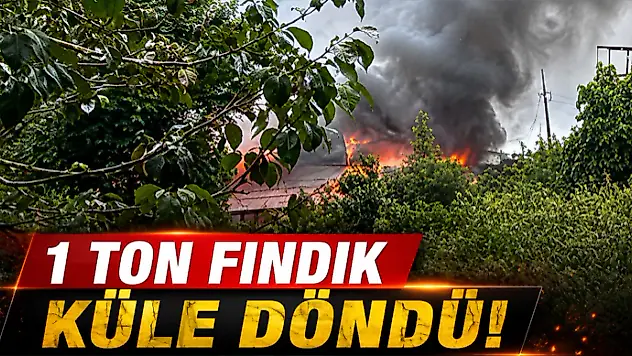 1 Ton Fındık Küle Döndü