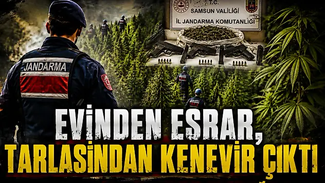 Evinden Esrar, Tarlasından Kenevir Çıktı