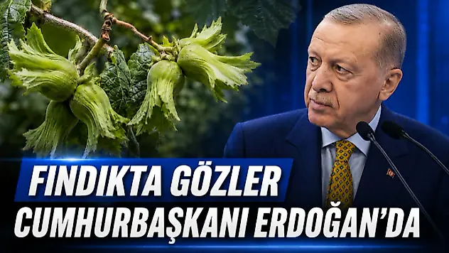 Fındıkta Gözler Cumhurbaşkanı Erdoğan'da