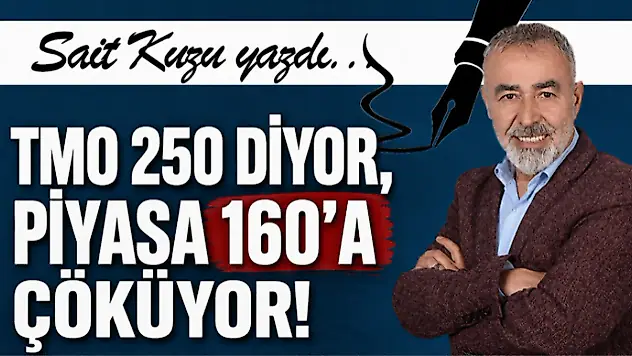 TMO 250 diyor, Piyasa 160'a Çöküyor!