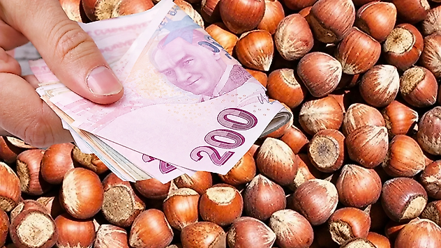 Çarşamba, Terme ve Salıpazarı'nda fındık kaç TL oldu?