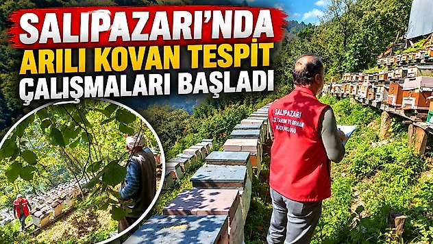 Salıpazarı'nda Arılı Kovan Tespit Çalışmaları Başladı