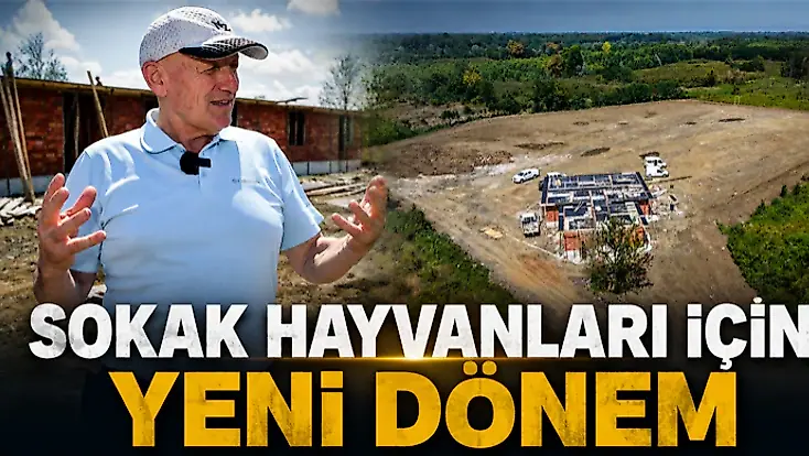 Sokak Hayvanları İçin Yeni Dönem