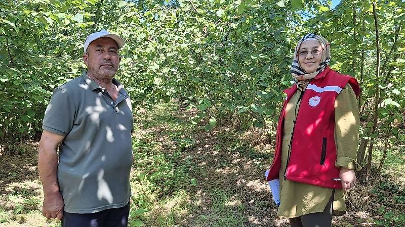 Haber