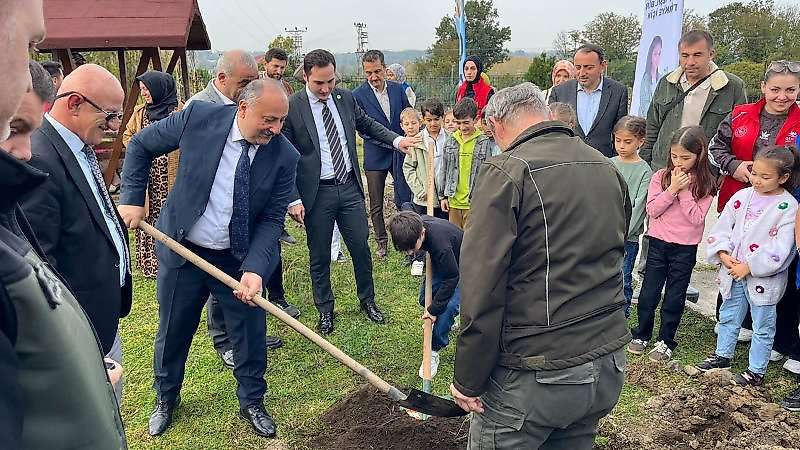 Haber