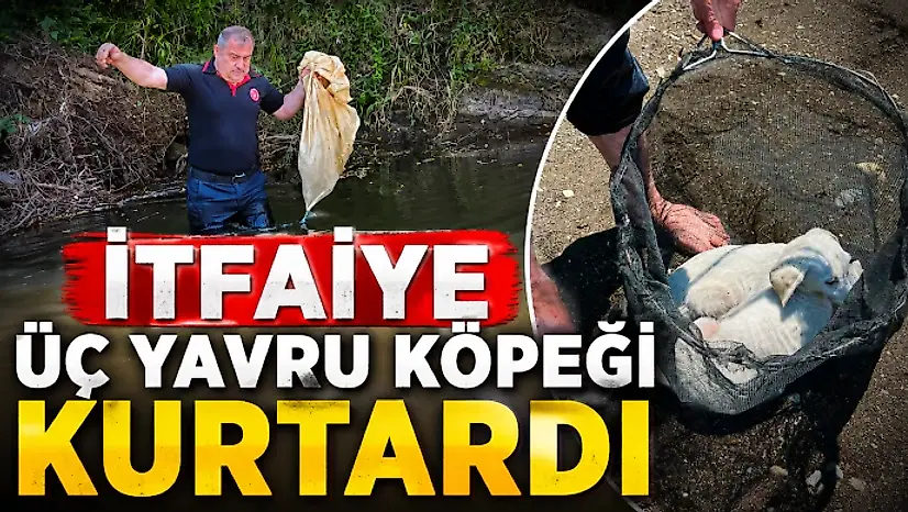 İtfaiye Üç Yavru Köpeği Kurtardı