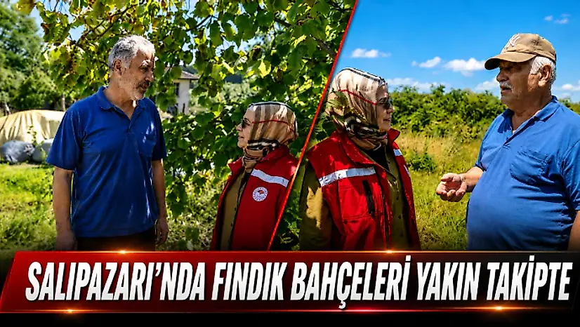 Salıpazarı'nda Fındık Bahçeleri Yakın Takipte