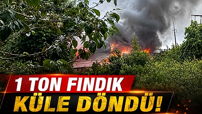 1 Ton Fındık Küle Döndü