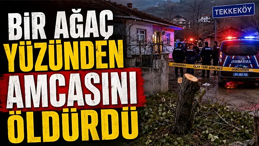 Bir Ağaç Yüzünden Amcasını Öldürdü