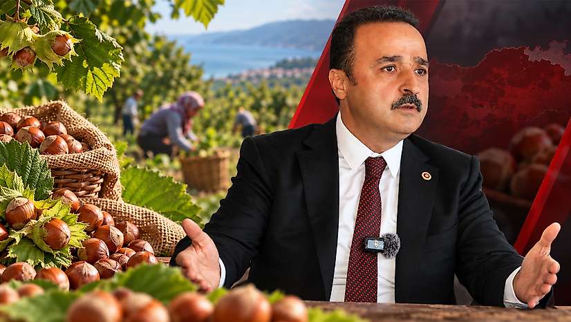 250 TL'nin altında fındık alanlara yaptırım talebi