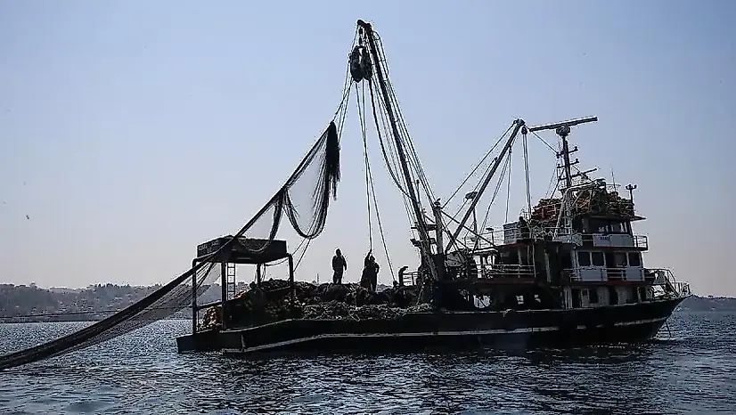Samsun'da balıkçılık av sezonu bu akşam açılıyor