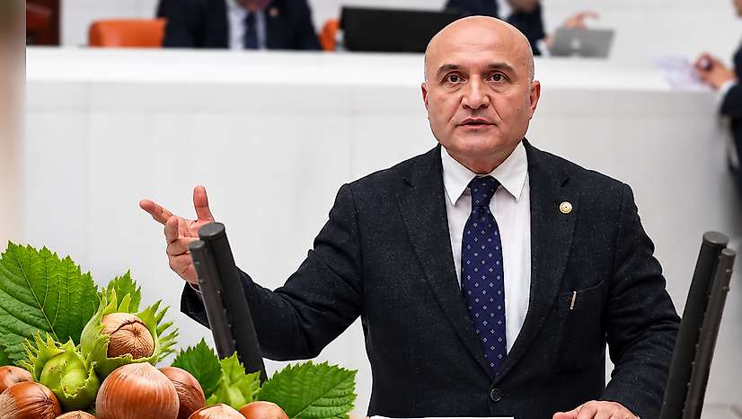 Erhan Usta'dan Fındık İçin TMO'ya Çağrı: Kota Kalksın, Ödeme Peşin Yapılsın