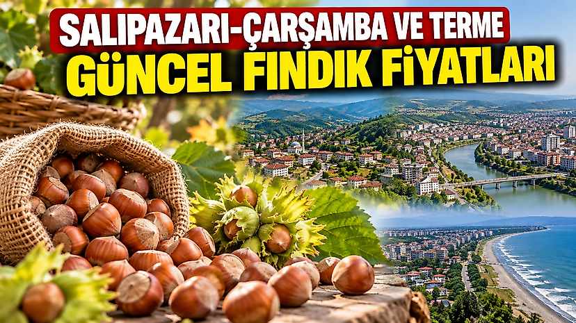 07 Ekim 2026 Çarşamba Günü Güncel Fındık Fiyatları