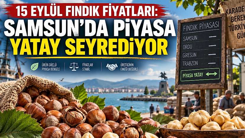 15 Eylül Fındık Fiyatları: Samsun’da Piyasa Yatay Seyrediyor