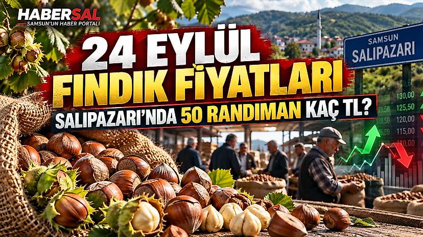 24 Eylül Fındık Fiyatları: Salıpazarı’nda 50 Randıman Kaç TL?