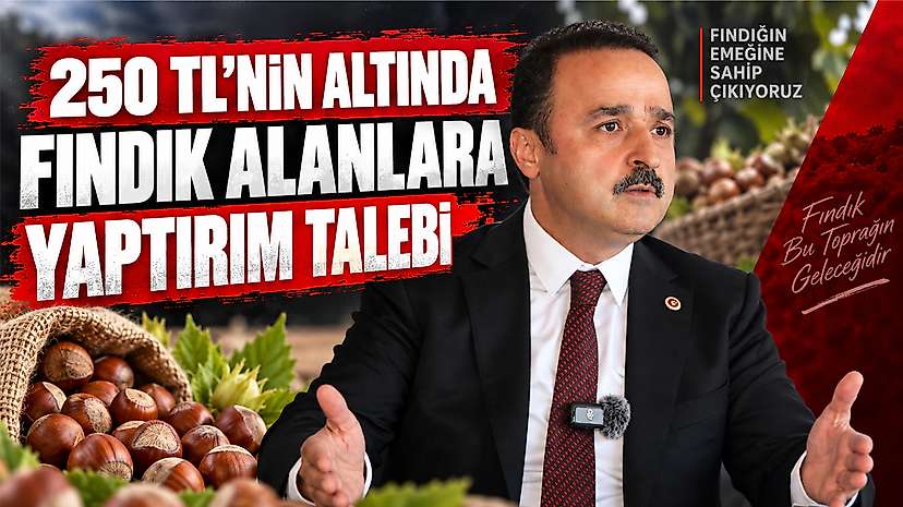 250 TL’nin altında fındık alanlara yaptırım talebi