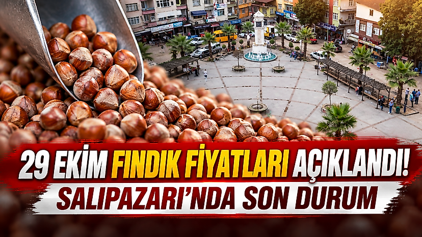 29 Ekim Fındık Fiyatları Açıklandı! Salıpazarı'nda Son Durum
