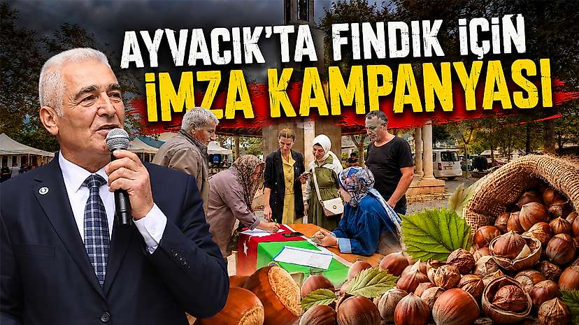 Fındık üreticisinden TMO’ya çağrı: Kota en az 200 kilo olsun