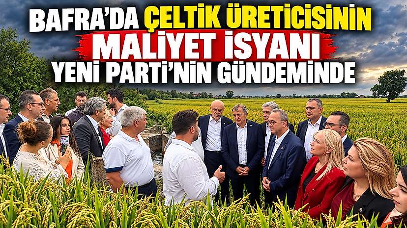 Bafra’da Çeltik Üreticisinin Maliyet İsyanı Yeni Parti’nin Gündeminde