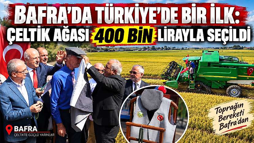 Bafra’da Türkiye’de Bir İlk: Çeltik Ağası 400 Bin Lirayla Seçildi