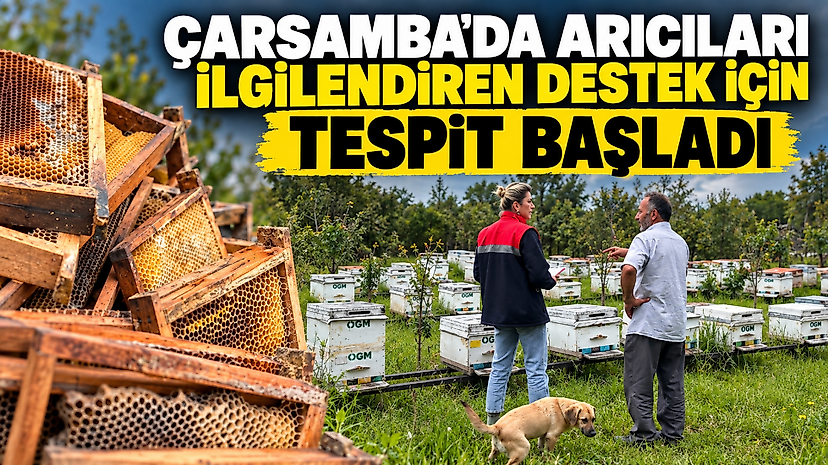 Çarşamba’da Arıcıları İlgilendiren Destek İçin Tespit Başladı