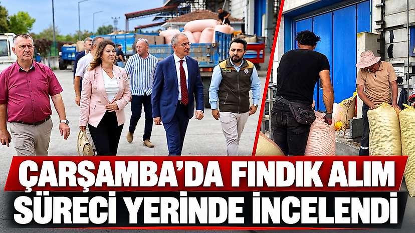 Çarşamba’da Fındık Alım Süreci Yerinde İncelendi