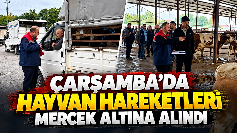 Çarşamba’da Hayvan Hareketleri Mercek Altına Alındı