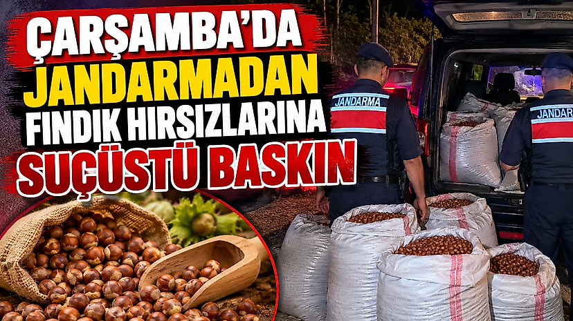 Çarşamba'da Jandarmadan Fındık Hırsızlarına Suçüstü Baskın
