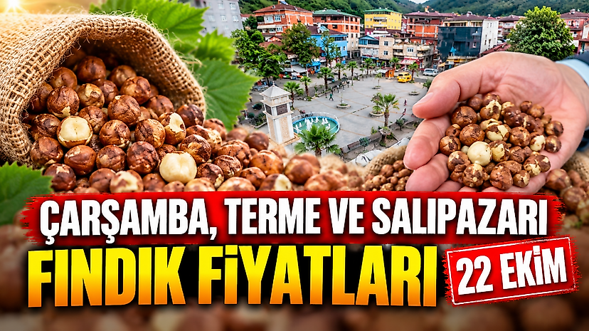 Çarşamba, Terme ve Salıpazarı Fındık Fiyatları 22 Ekim