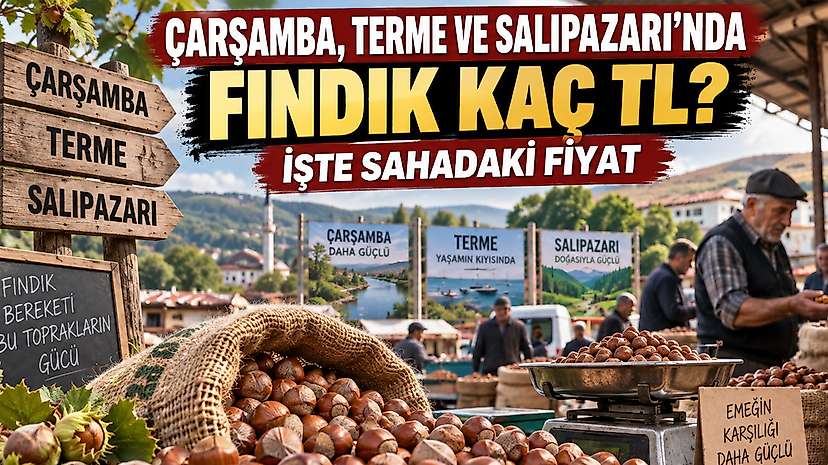 Çarşamba, Terme ve Salıpazarı’nda Fındık Kaç TL? İşte Sahadaki Fiyat