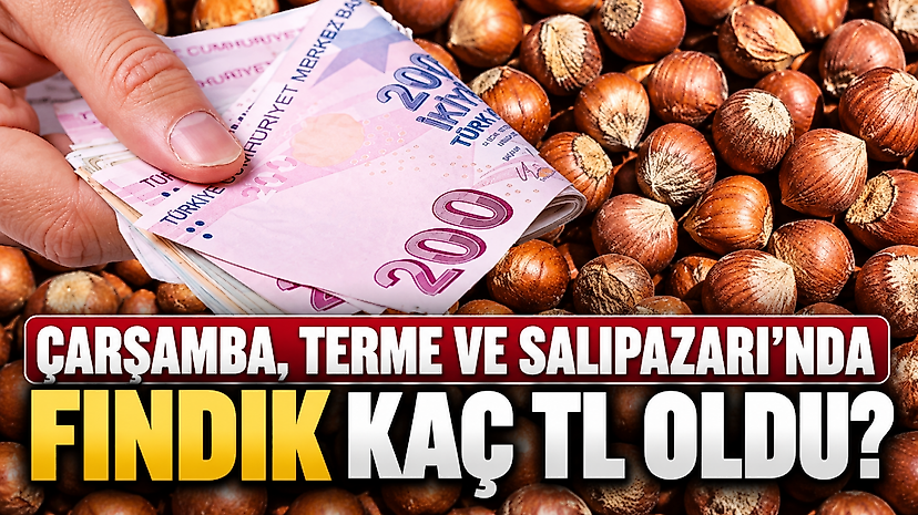 Çarşamba, Terme ve Salıpazarı’nda fındık kaç TL oldu?