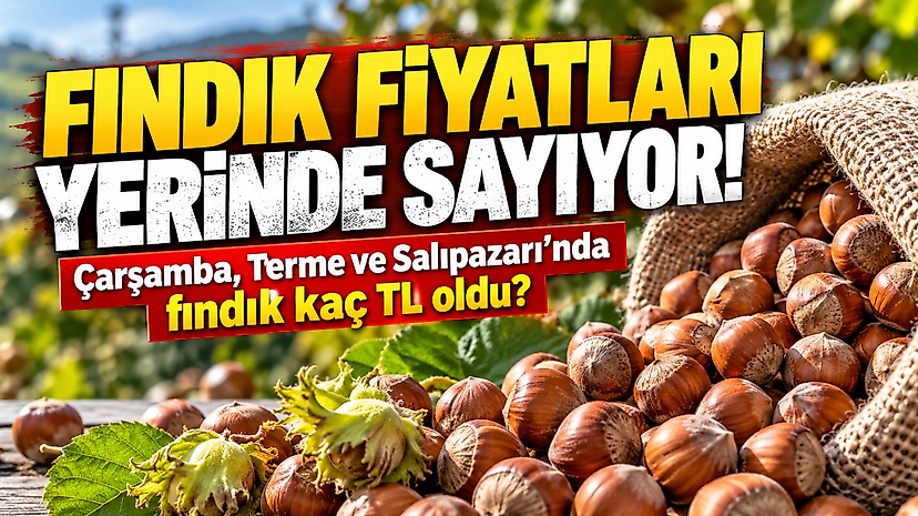 Çarşamba, Terme ve Salıpazarı’nda fındık kaç TL oldu?