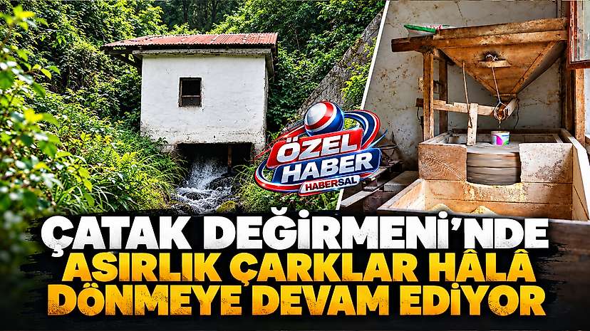 Çatak Değirmeni’nde Asırlık Çarklar Hâlâ Dönmeye Devam Ediyor